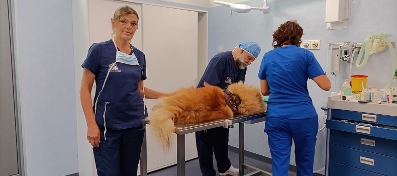 Croce Blu, inaugurata la nuova clinica veterinaria ad Alessandria